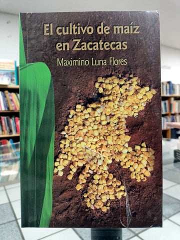 El cultivo de maíz en Zacatecas