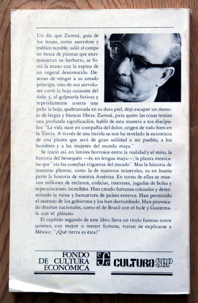 Ki: El drama de un pueblo y una planta