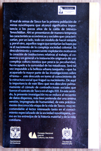 Taxco en el siglo XVI, sociedad y normatividad en un real de minas novohispano