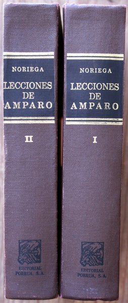 Lecciones de amparo. Tomo I y II
