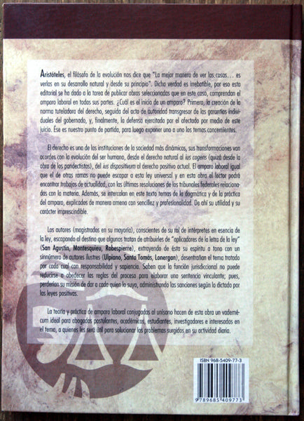 Serie grandes temas de amparo laboral en el nuevo milenio. Vol. 1 y 2