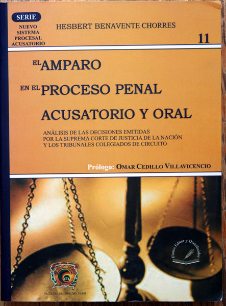 El amparo en el proceso penal acusatorio y oral