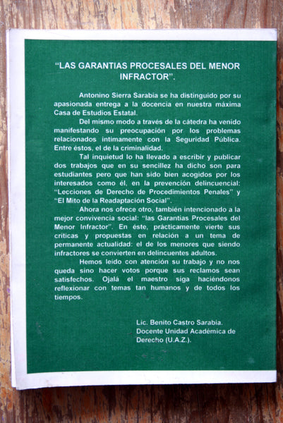 Las garantías procesales del menor infractor