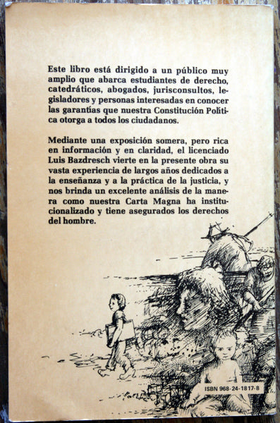 Garantías constitucionales. Curso de introducción actualizado.