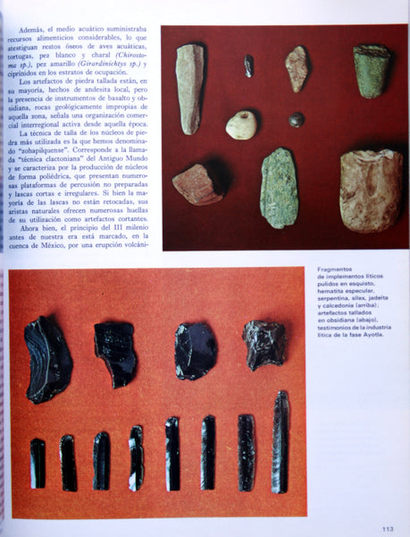 Los orígenes de México