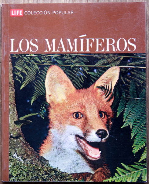 Los mamíferos.