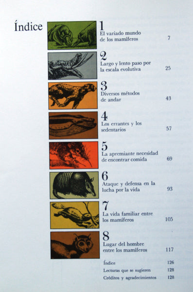 Los mamíferos.