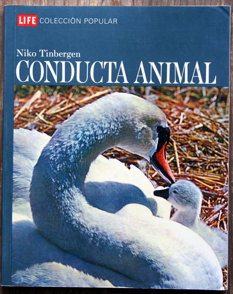 Conducta animal.