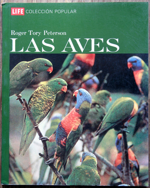 Las aves.