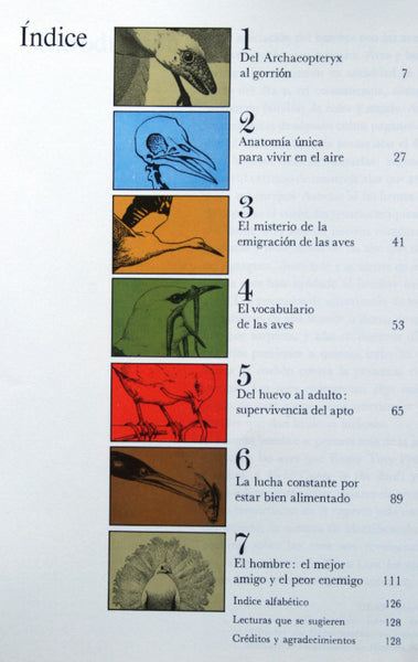 Las aves.