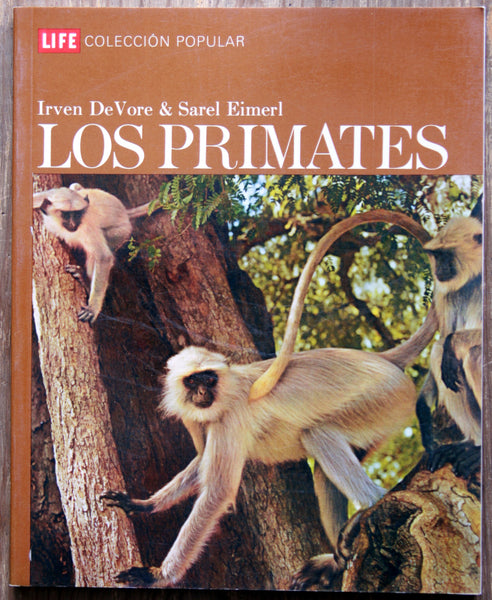 Los primates.