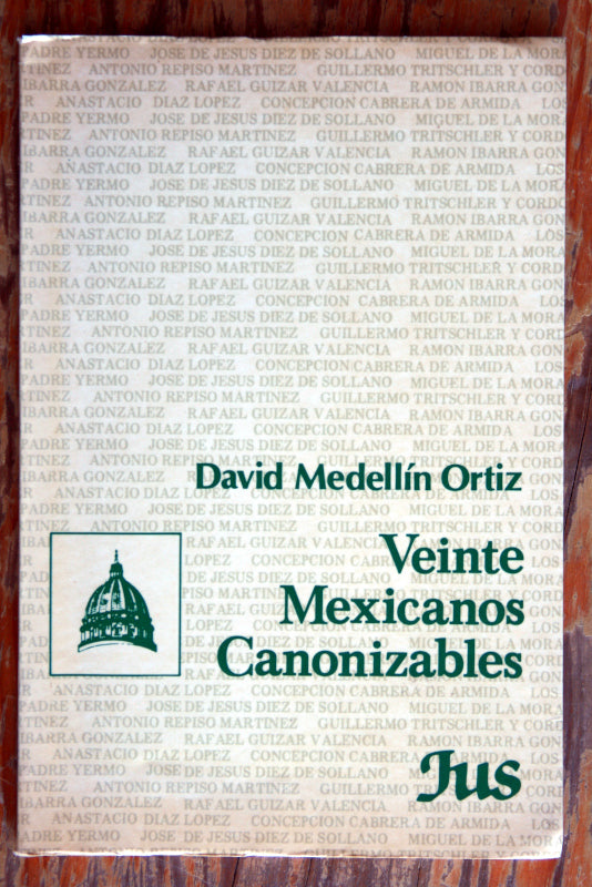 Veinte mexicanos canonizables