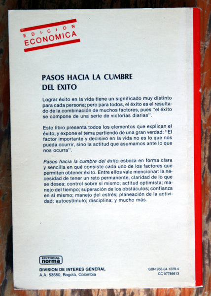 Pasos hacia la cumbre del éxito.