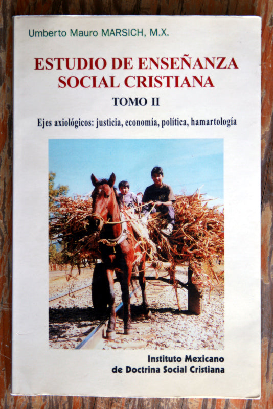Estudio de enseñanza social cristiana. Tomo II