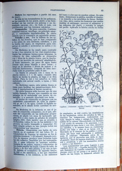 Plantas medicinales. El dioscórides renovado.