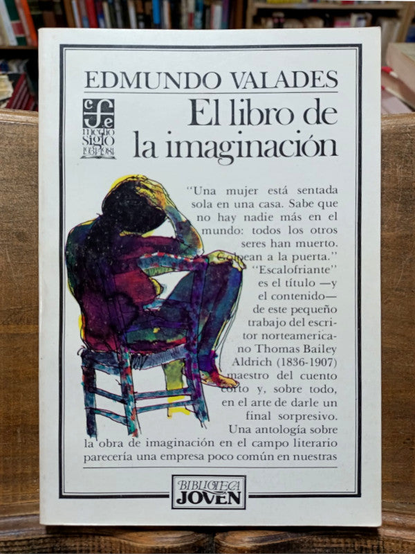 El libro de la imaginación.